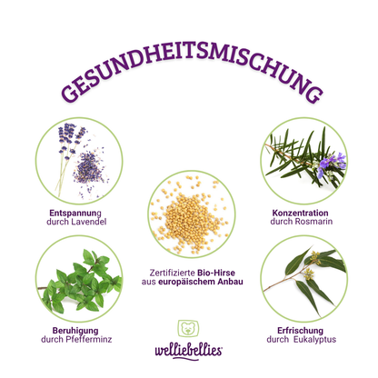 Wärmekuscheltier welliebellies® Bär – Dein Kuschelbär zum Liebhaben und Herz erwärmen